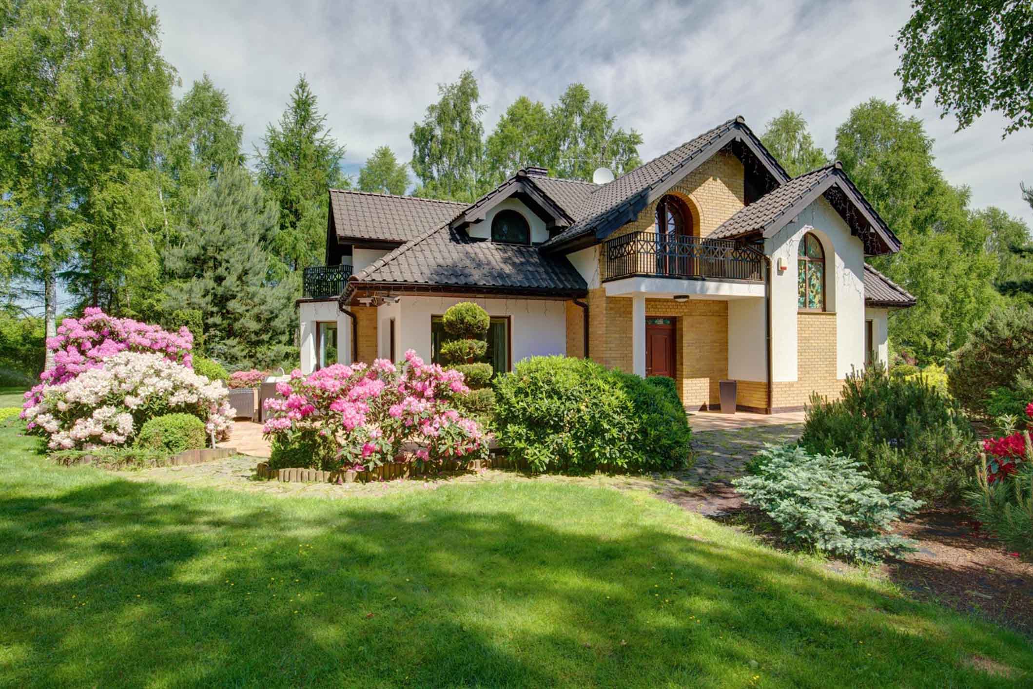 landscaping landscaping
